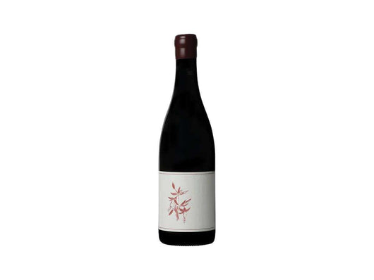 Arnot-Roberts Syrah Sonoma Coast